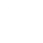 wordpress-1