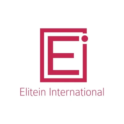 Elitein International Logo Design by PixelCraft Studio